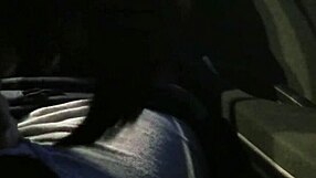 Is This Real Hooker Giving Car Blowjob?