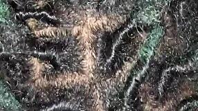 Bbw wife sucks fat dick and gets pounded hard