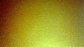 Mexican amateur gets bent over for intense doggystyle fucking