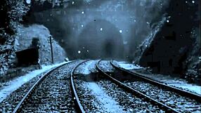 Two centuries of vintage pornography showcase raw hairy beaver action