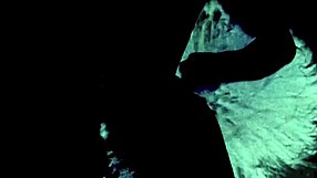 Retro Vintage Antique Black On Black Collection