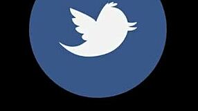 Slutty Babe Vienna Black Sucks Big Dick Filthy Blowjob