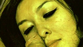 Vintage interracial scene blends black pussy and white pussy in retro heat.