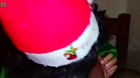 क्रिसमस एल्फ ने शानदार गिफ्ट दिया