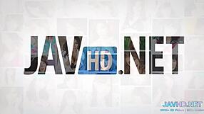 japanese pussies for connoisseurs vol 75