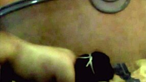 staying at the hotel with lulu for a night