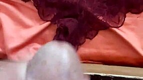 Detailed cumshot on sister-in-law's panties in intimate scene