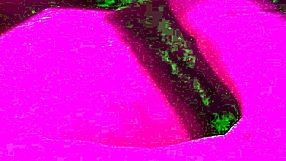 कुगर्स की सेक्सी टाइट पस्सी के साथ क्विक डॉगीस्टाइल सेशन