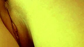 Brunette Babe in Thong Lingerie, Shaved, Shows Cameltoe, Big Tits, and Big Ass While Masturbating