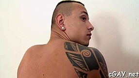 intriguing gay sex studs engage in hardcore encounters