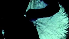 Dark Lantern Entertainment Unveils Vintage Blowjob Confessions