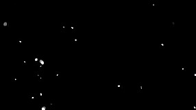 you want my cum before i go? bisexual guy asks his passive in amateur farewell