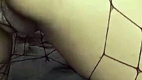 Close up of a pierced Latina’s nipple as she gets fucked by a big cock