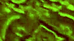 Intense Doggy Fucking Leaves Me Satisfied