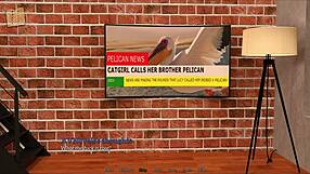 my new memories 49 series exploration