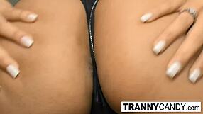 Big-Boobed Trans Babe Plays with Dildo for Creamy Finish