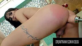 honestly, i love watching this dream tranny compilation with a machine doing everything!