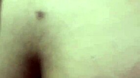 Pussy Cream Pie Lovers Unite!