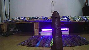 I embark on a journey to train my ass with toys and dildos for intense anal play