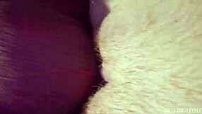 Pale Pussy Fuck And Ass Play With Narrow Ass Bent Over Doggystyle