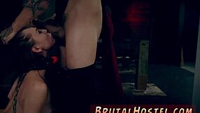 I watch aidra fox and kharlie stone in extreme ebony bondage