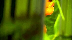 Wild life, you two lesbians, let's get wild in bed?