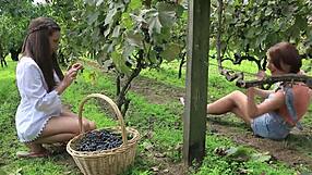 VivThomas presents Vine with Hannah Sweet and Subil Arch in action