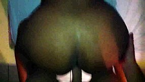 Amateur Brazilian Ebony Fucking With Blowjob And Ass Play