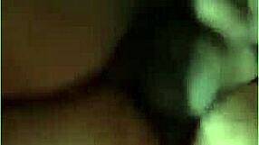 चलो इस मज़ेदार सवारी पर उछलें, जंगली माहौल के साथ