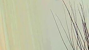 i enjoy watching gay fellows in porn