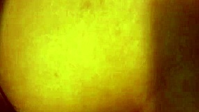 Married couple’s real sex scene with anal pleasure