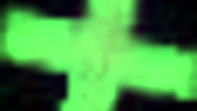 Rich Latina Fucked Hard on All Fours