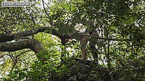 A young and humble amateur leads you through the forest for some public fun