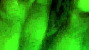 Funky body or sexy tits for fucking?