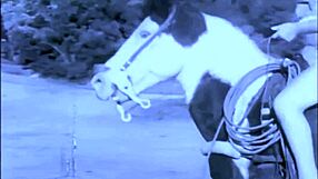 Taboo Vintage Pussy Meets Outdoor Doggy Style Action?