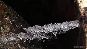 मेलिसा ने शेव्ड ब्रुनेट सोलो में मैक्सिको में ऑर्गेज्म की ऊंचाइयों को छुआ