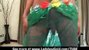 Cindy as perfect ladyboy in fantasy cosplay.