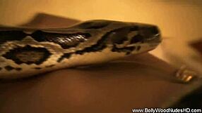 Oh, These Forbidden Sensual Desires From India Are So Erotic And Exotic!