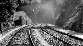 Have you seen these vintage erotic cartoon drawings before?