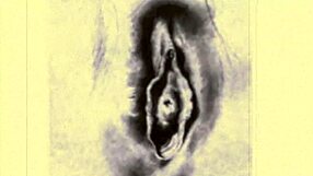 Have you seen these vintage erotic cartoon drawings before?