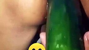 मद्रास्ता कुलोना मोटे खीरे से खेलती है, फैली गांड दिखाती है