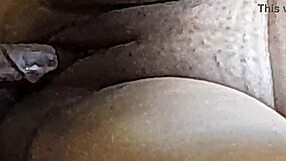 शरारती ब्राजीलियन कपल पार्ट 7 - वाइल्ड Ant ने मस्ती की