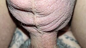 Man, you gotta see this wild swa8 action right now!