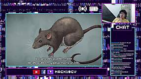 yo, let’s talk JoJo’s Bizarre Adventure animation part 4, episodes 15, so weird!