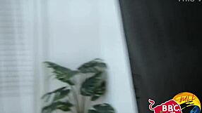 यो, बीबीसी बुल यूनिट एपिसोड 37 है जबरदस्त!