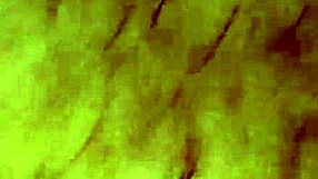 friend's wife sucks my cock, gives handjob, cumshot, shows pussy