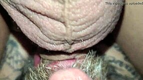 Man, you gotta see this wild swa8 action right now!