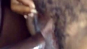 watch that nut burst on ebony?