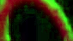 Nikki Benz Delivers a Sloppy Birthday Blowjob for a Massive Facial!