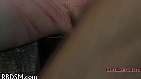 Boxed up girl is bent over for doggystyle fucking and blowjob